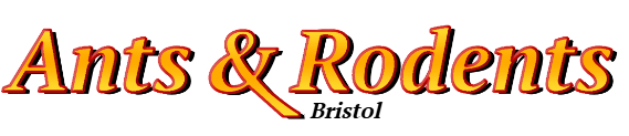 Bristol Ant Exterminator & Rodent Control Company Logo